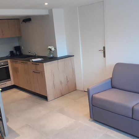 Logement Entier 4 Personnes Villefranche Sur Saone Exterior photo